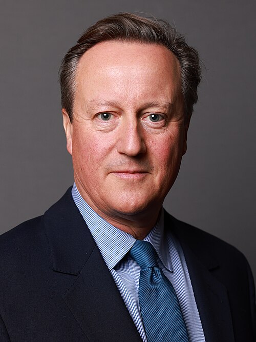 Zdjęcie profilowe - David Cameron, Waga