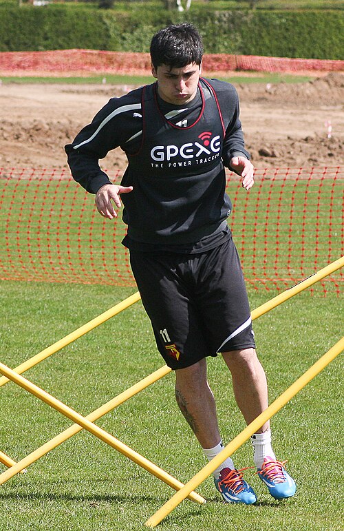 Zdjęcie profilowe - Fernando Forestieri, Koziorożec