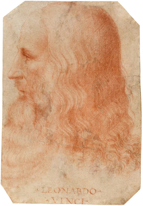 Zdjęcie profilowe - Leonardo da Vinci, Byk