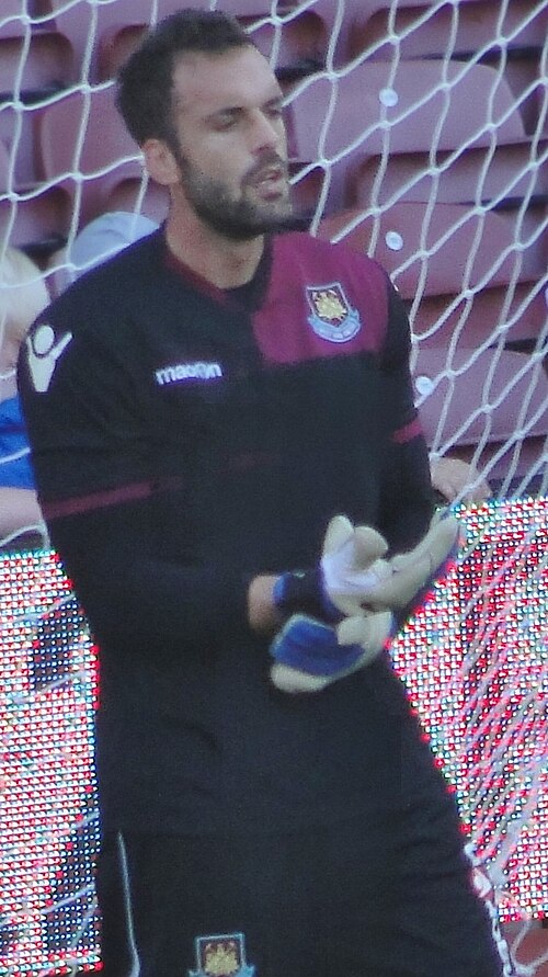 Zdjęcie profilowe - Manuel Almunia, Byk